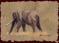 remarque on Elephant Dung paper