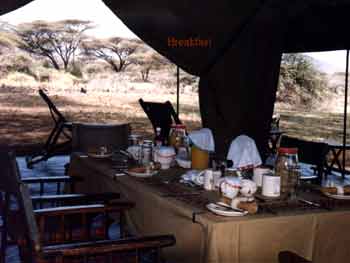 Breakfast on Safari
