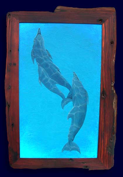 Indo pacific Humpback Dolphins