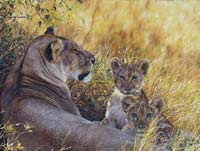 Lioness and Cubs