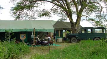 Teaching on Soysambu Camp